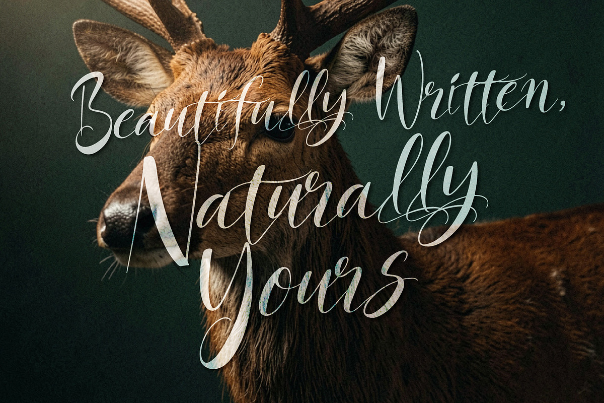 Alerquisant - Naturally Yours, a Script Font by HypeWorksCo (Photo 4 of 18)