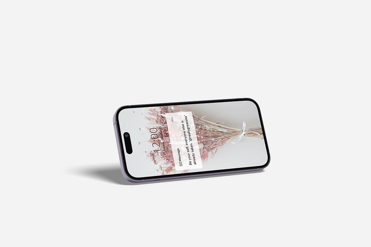 iPhone 14 Pro Mockup, an iPhone Mockup by zuhraabdullah (Photo 6 of 28)