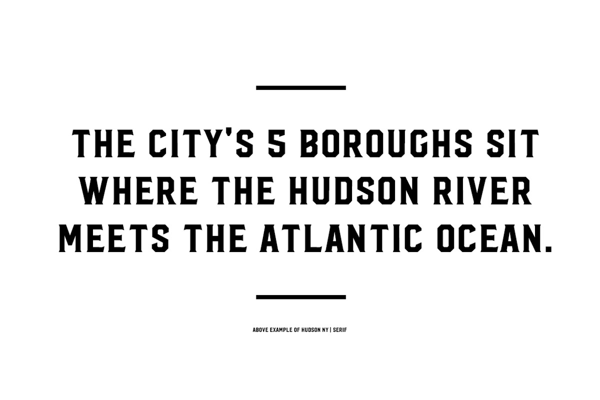 Hudson NY - Serif preview 3