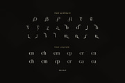 Delove Elegant Luxury Serif Font, a Serif Font by Graphicxell (Thumbnail 8 of 8)
