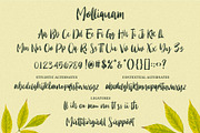 Molliquam - Handwritten Font, a Script Font by Garisman Std (Thumbnail 7 of 8)