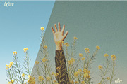 Muted Grain Effect, a Texture Graphic by Harmonais Visual (Thumbnail 4 of 10)