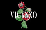 The Casanova (clean & rough), a Blackletter Font by HTLNS.co (Thumbnail 2 of 5)