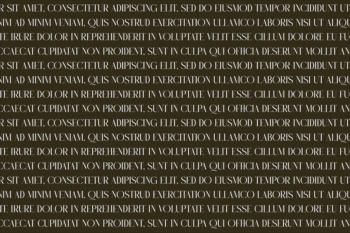 Rughato Wacner A Modern Serif Font, a Serif Font by Storytype Studio (Photo 2 of 15)