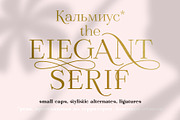 Calmius Extra Light, a Serif Font by NREY (Thumbnail 3 of 11)
