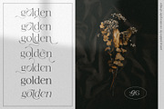 Going Golden Font Family, a Serif Font by Creativeqube Design (Thumbnail 10 of 17)