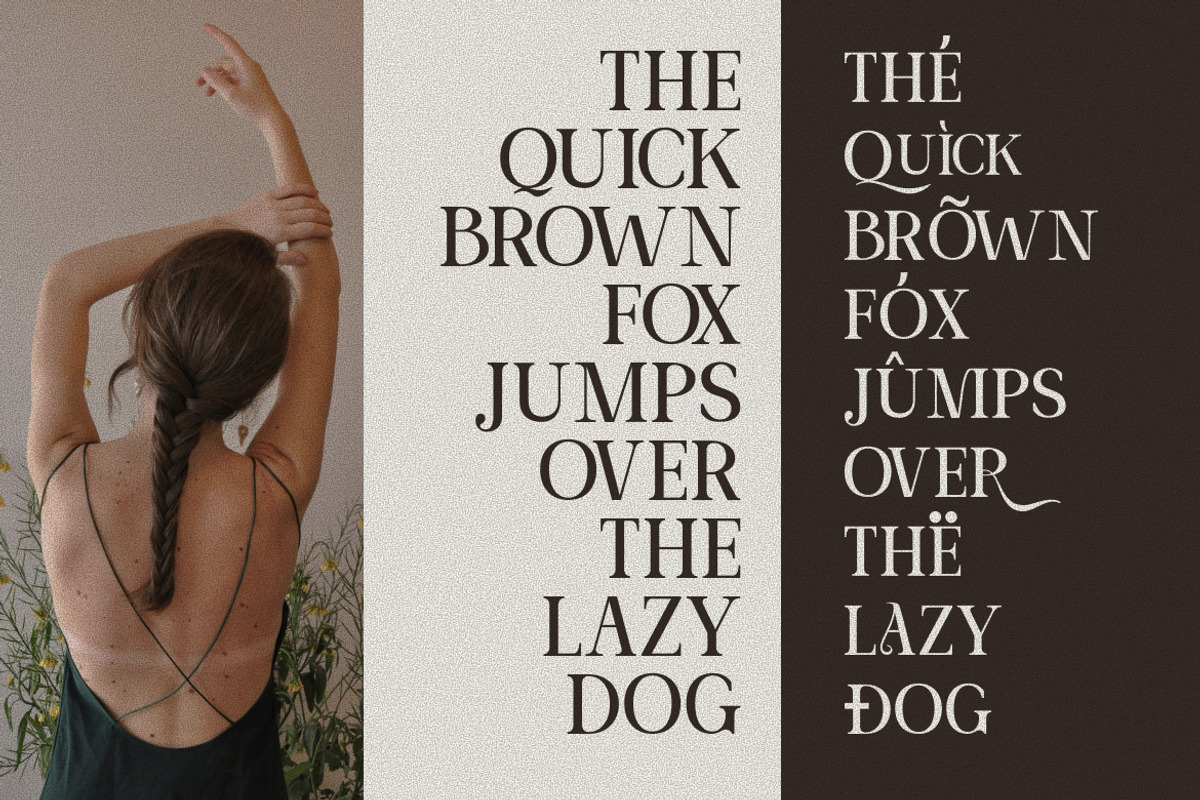 Aurellina Modern Elegant Serif, a Serif Font by Vadovastd (Photo 5 of 7)