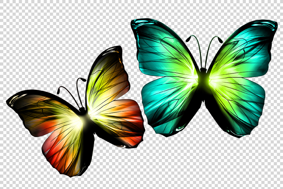 3D Neon Butterflies, an Animal Illustration by BazziBa♥ (Photo 5 of 7)