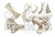 Dinosaur Skeleton Watercolor, an Animal Illustration by NKTKNS (Thumbnail 3 of 6)