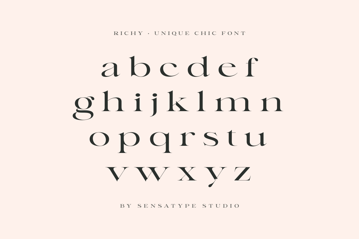 Richy - Unique Chic Font, a Serif Font by Sensatype (Photo 12 of 21)
