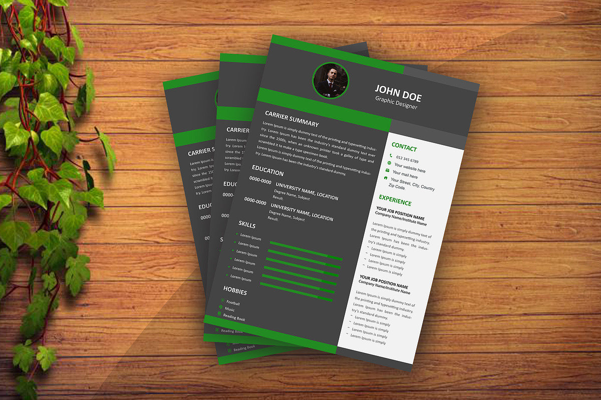 InfiniVita - The Artistic Career Cat, a Resume Template by Annudesign (Photo 5 of 8)