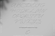 Spring Vibes. Floral Font + Frames, a Script Font by AnMark (Thumbnail 14 of 15)