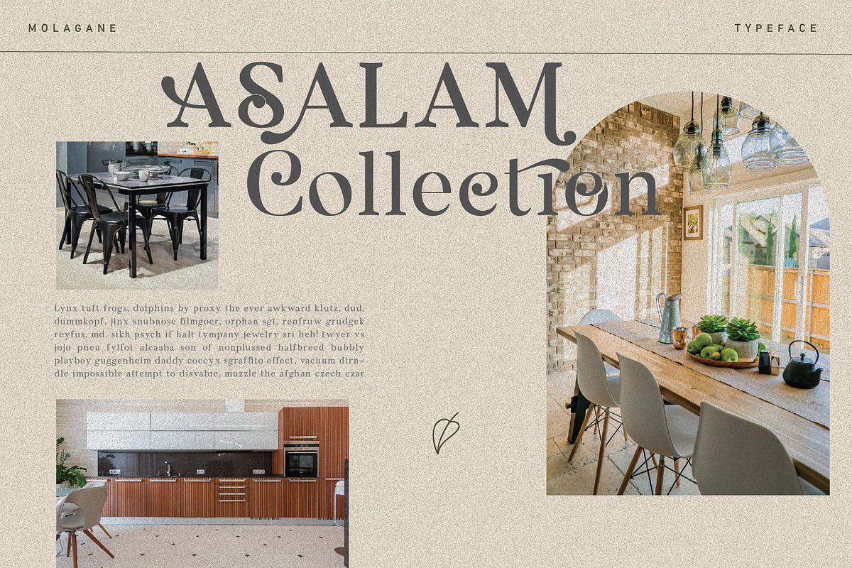 Molagane | Fancy Serif Typeface, a Serif Font by Qaratype (Photo 16 of 26)