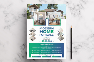 Real Estate Flyer Template