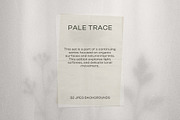 Pale Trace backgrounds, a Background Graphic by DigARTbyHavroshka (Thumbnail 5 of 10)