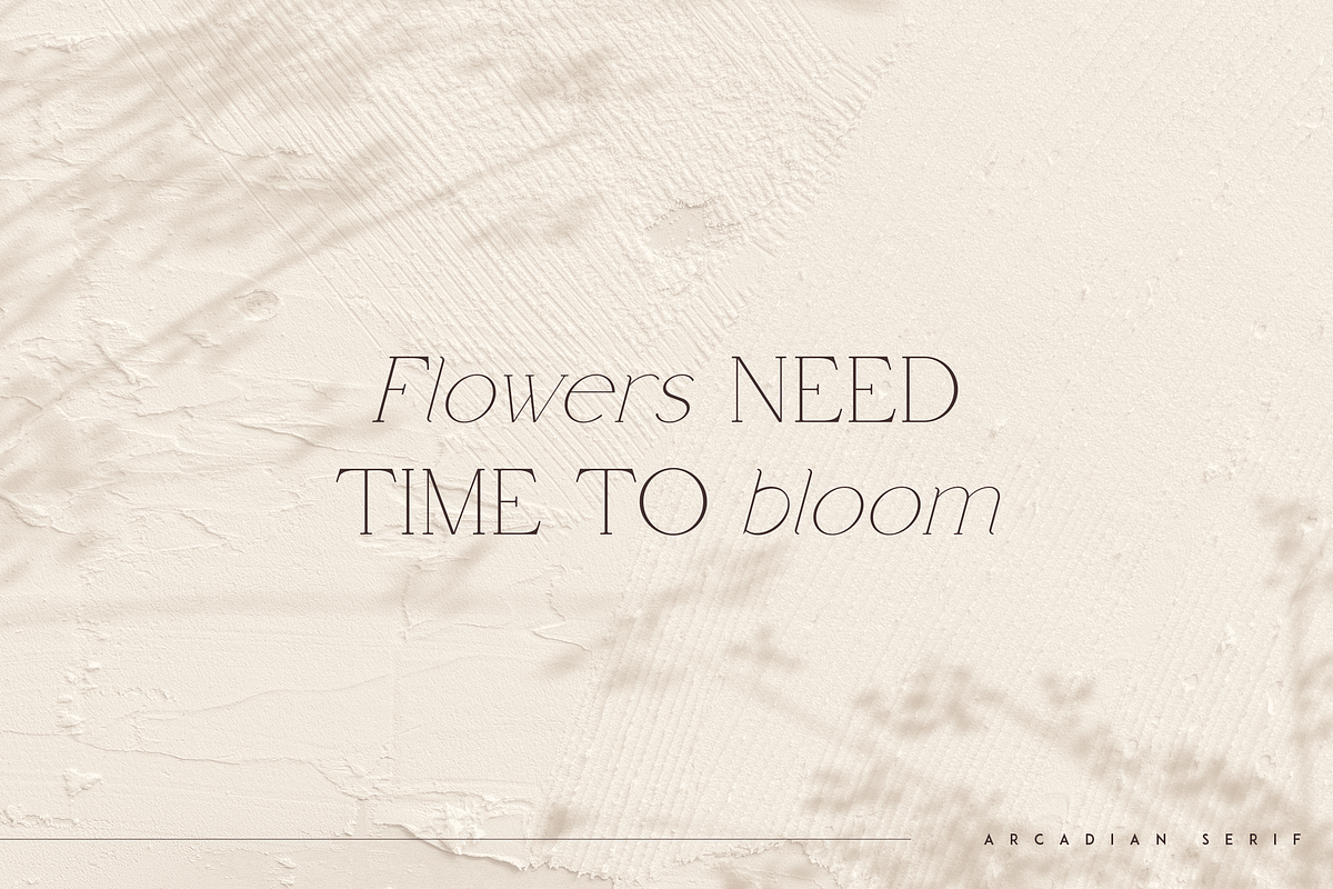 Arcadian - elegant serif typeface, a Serif Font by Only Fonts (Photo 3 of 11)