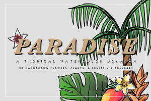 Tropical Watercolor Illustrations