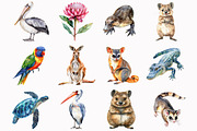 Watercolor Australian Animals Clipar, an Illustration by Design Market (Thumbnail 2 of 5)