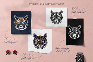 Animal Illustrations Bundle 1