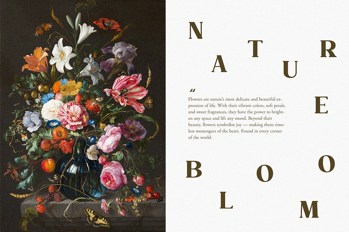 Calibria – Bold & Elegant Serif, a Serif Font by Almeera Std (Photo 5 of 10)