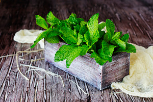 Fresh lemon balm or mint in a small wooden box featuring white, wooden, and