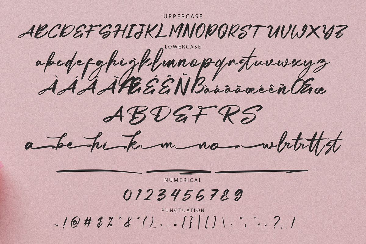 Bottamkia Brush Script Font, a Script Font by NTC Graphic (Photo 7 of 8)