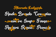 Ladywish, a Handwritten Font by ahweproject (Thumbnail 6 of 8)