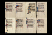 400+ lluminated Manuscripts Bundle, a Decorative Illustration by Digital Museum (Thumbnail 9 of 11)