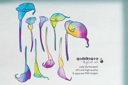 calla lilies clipart