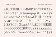 CS Serenity – Elegant Font, a Serif Font by Craft Supply Co. (Thumbnail 8 of 8)