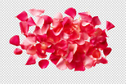 Flower petals transparent png, a Nature Photo by Shahjahangdb1 (Thumbnail 6 of 10)