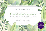 Botanical Watercolor Leaves, a Texture Graphic by Carolyn Packard Design (Thumbnail 1 of 8)