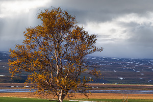 Beautiful mountain view during auto trip in North Iceland. Spect, a Nature Photo by YuriyB
