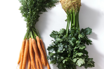Flatlay with root vegetables carrot and celeriac on white backgr, a Food & Drink Photo by Asya Nurullina