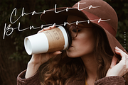 Silver Sands - Signature Font, a Script Font by Megi Satyo Widodo (Thumbnail 11 of 15)