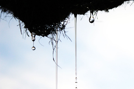 Drip Drip