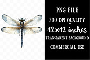 Dragonfly Clipart Bundle, an Illustration by Designking (Thumbnail 4 of 5)