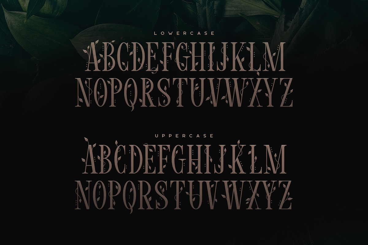 Wisteria • Display Font preview 2