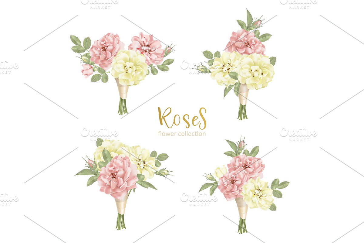 Set collection flowers roses on white background, a Decorative Illustration by irska