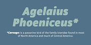 Carouge Pro, a Sans Serif Font by André Simard (Thumbnail 2 of 8)