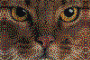 CHRISTMAS SWEATER Photoshop Template, a Plug-in Add-On by Graphic Spirit (Thumbnail 6 of 9)