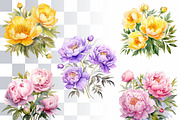 Peony Watercolor Clipart Set, a Decorative Illustration by Loony Dream Designs (Thumbnail 3 of 4)