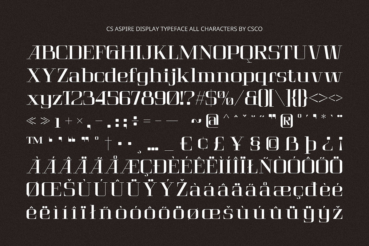 CS Aspire – Techno Font, a Serif Font by Craft Supply Co. (Photo 8 of 8)