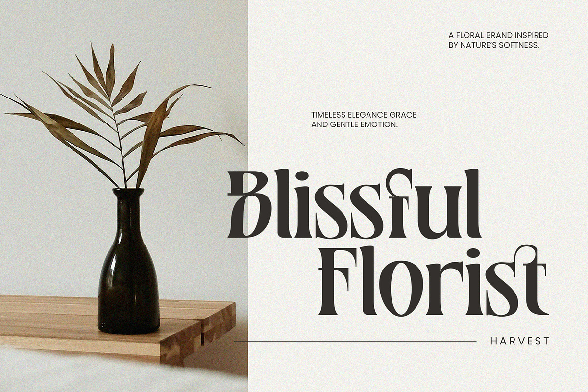 Basurist - Unique Modern Serif Bold, a Serif Font by Nokturnal13 (Photo 9 of 14)