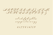 Sofia Script, a Script Font by Creative Foundry (Thumbnail 7 of 9)