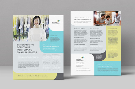 Business Consultant Datasheet, a Flyer Template by StockLayouts