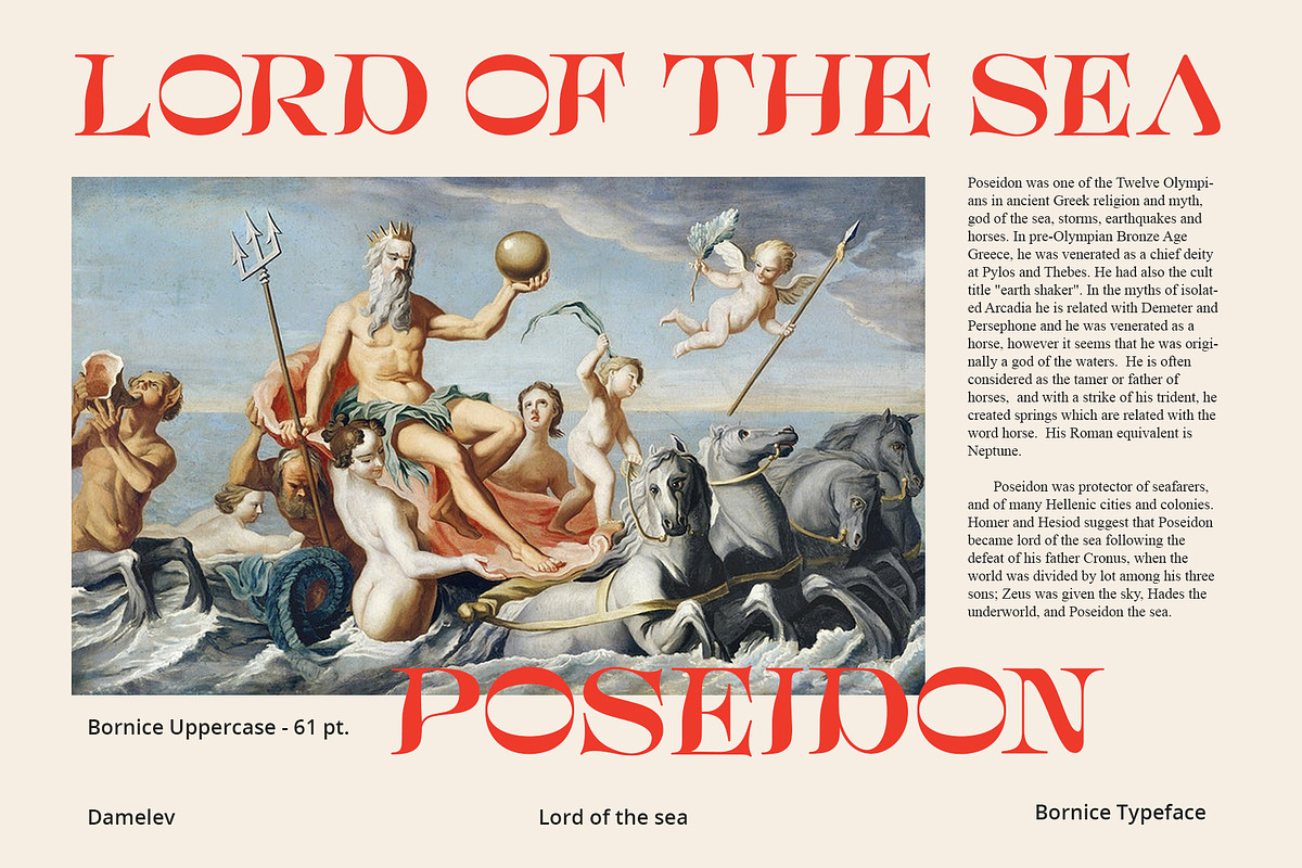 Bornice Modern Serif, a Serif Font by Damelev (Photo 4 of 13)
