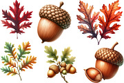 Watercolor Acorns & Oak Leaves PNG, an Illustration by Designking (Thumbnail 3 of 4)