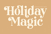 Roman Magicel Modern Alternate Ser, a Serif Font by timelesstype.co (Thumbnail 3 of 20)