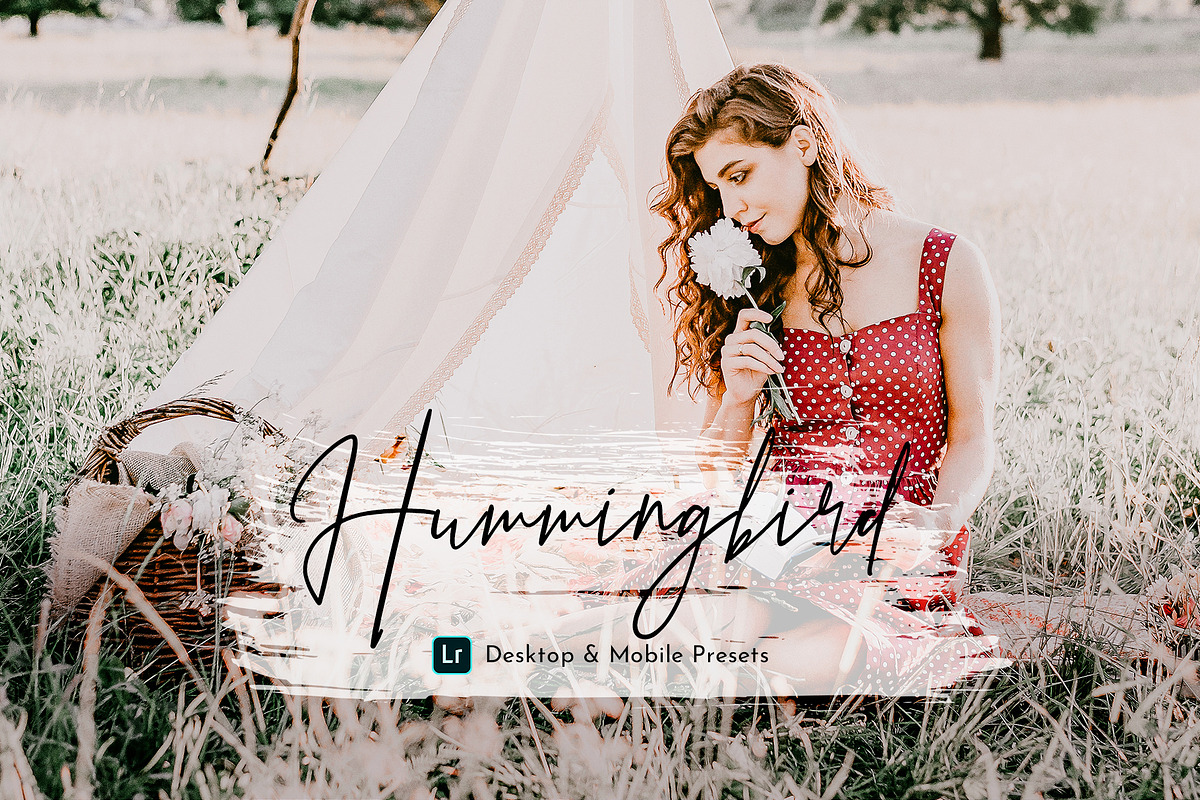 HummingBird Lightroom Presets Pack, an Action Add-On by PixelHive Pro (Photo 1 of 9)